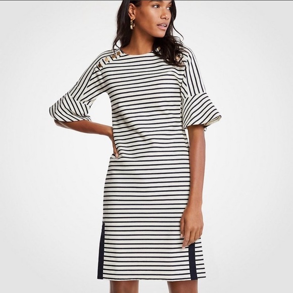 Ann Taylor Striped Fluted Sleeve Shift Dress - Picture 14 of 14